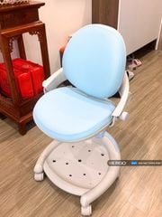 Ghế ngồi học chống gù Hanover C02