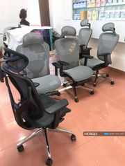 Ghế Công Thái Học Ergonomic ErgoStuhl Q1 Pro (Footrest)