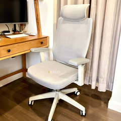 Ghế Công Thái Học Ergonomic Elegant T23