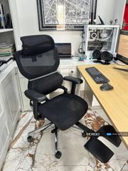 Ghế Công Thái Học Ergonomic ErgoStuhl Q3 Pro (Footrest)