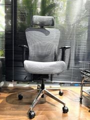 Ghế Công Thái Học Ergonomic Ergostuhl Q1