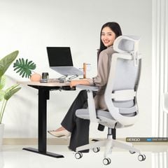 Combo Bàn Ghế Công Thái Học Modern Comfort