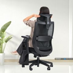 Ghế Công Thái Học Ergonomic Elegant T23