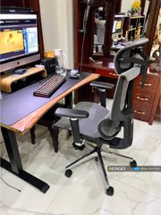 Ghế Công Thái Học Ergonomic ErgoStuhl Fenix 8