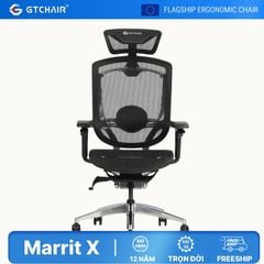 Ghế Công thái học Ergonomic GTChair Marrit X - Bản tay 5D