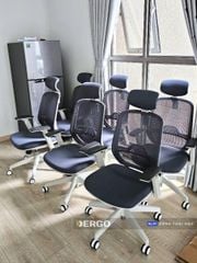 Ghế Công Thái Học Ergonomic Elegant T21