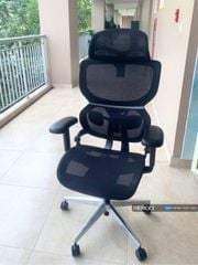 Ghế Công Thái Học Ergonomic ErgoStuhl Q3