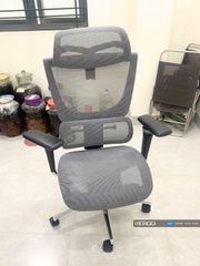 Ghế Công Thái Học Ergonomic ErgoStuhl Fenix 8