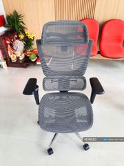 Ghế Công Thái Học Ergonomic ErgoStuhl Fenix 8