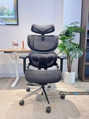 Ghế Công Thái Học Ergonomic ErgoStuhl Q3