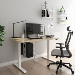 Bàn làm việc đứng điều chỉnh độ cao Flexispot (Lite - 2 Stages) - EC1