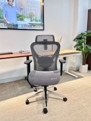 Ghế Văn Phòng Cao Cấp Ergonomic ErgoStuhl Q1