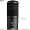 AKG P120