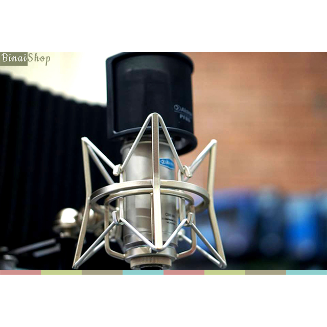 Micro thu âm condenser Alctron CM6 MKII – BINAI