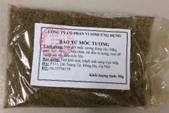 Bào tử mốc giống làm tương (nấm Aspengillus oryzae)