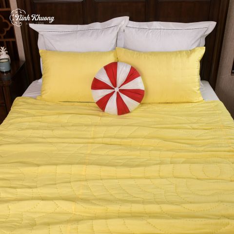  Mền lụa 220x240 + 2 gối 50x70 