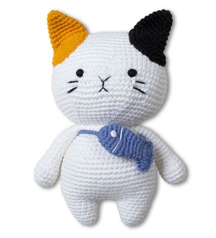  Gemma the boy Kitten 