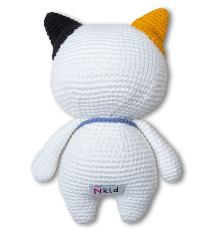  Gemma the boy Kitten 