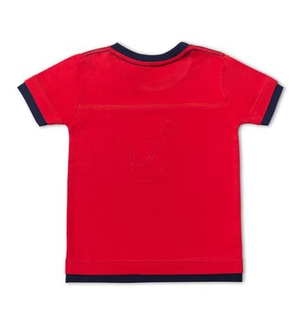  Áo thun đánh chỉ bông 