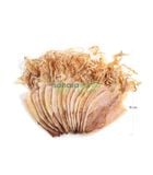  Khô mực ngon Phú Quốc size S7 (45 - 50 con 1kg) Chỉ bán sỉ - Vui lòng gọi 
