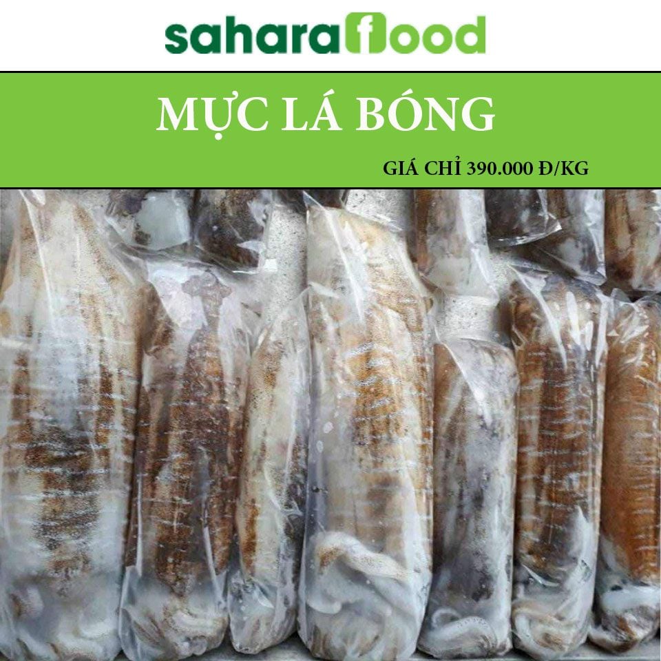  Mực lá bông Phú Quốc 