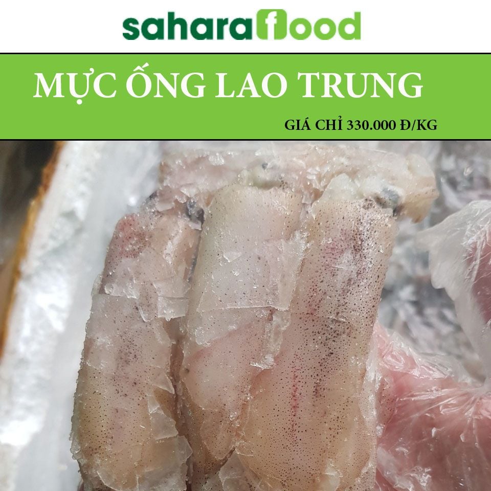  Mực ống lao Phú Quốc loại 15 - 20 con kg 