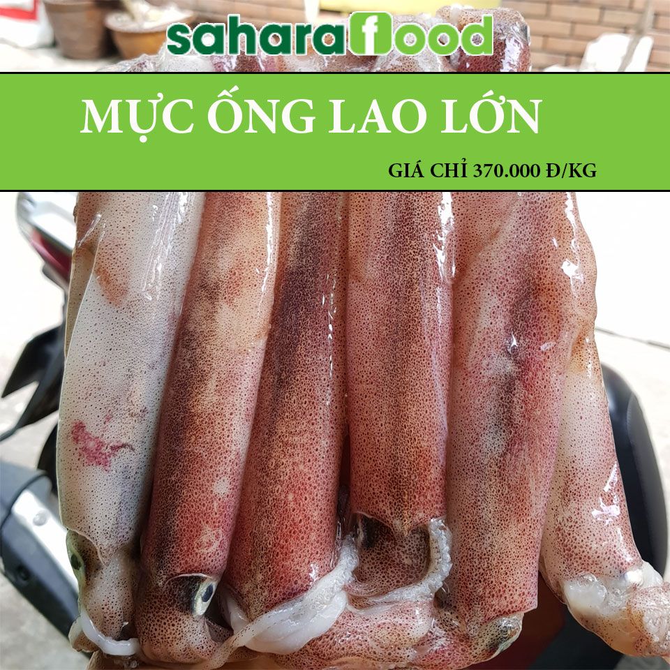  Mực ống lao Phú Quốc loại 8-10 con kg 