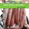 giá mực ống tươi Phú Quốc