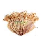  Khô mực ngon Phú Quốc size S3 (16 - 19 con 1kg) 
