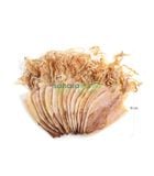  Khô mực ngon Phú Quốc size S6 (35 - 39 con 1kg) 