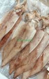  Mực 1 nắng Phú Quốc Size 3-4 con/kg 