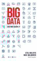 Big data cho nhà quản lý