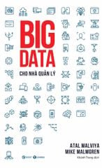 Big data cho nhà quản lý