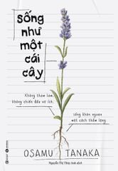 Sống như một cái cây: Không tham lam, không chiến đấu vô ích, sống khôn ngoan một cách thầm lặng (TB 2025)