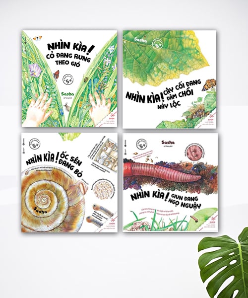 Nhìn kìa! – Bộ sách giúp bé khám phá sự kì diệu của thiên nhiên. – Nhà sách Thái Hà