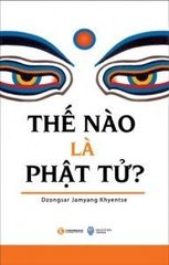 Thế nào là Phật tử