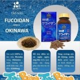 [CHÍNH NGẠCH] VIÊN TẢO UỐNG HỖ TRỢ UNG THƯ FUCOIDAN OKINAWA NHẬT BẢN