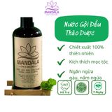 [CHÍNH NGẠCH] Dầu Gội Bưởi Chăm Sóc Tóc Mandala 300ml Đánh Bay Gàu-Ngứa-Nấm Dưỡng Tóc Chắc Khỏe, Dày Bồng