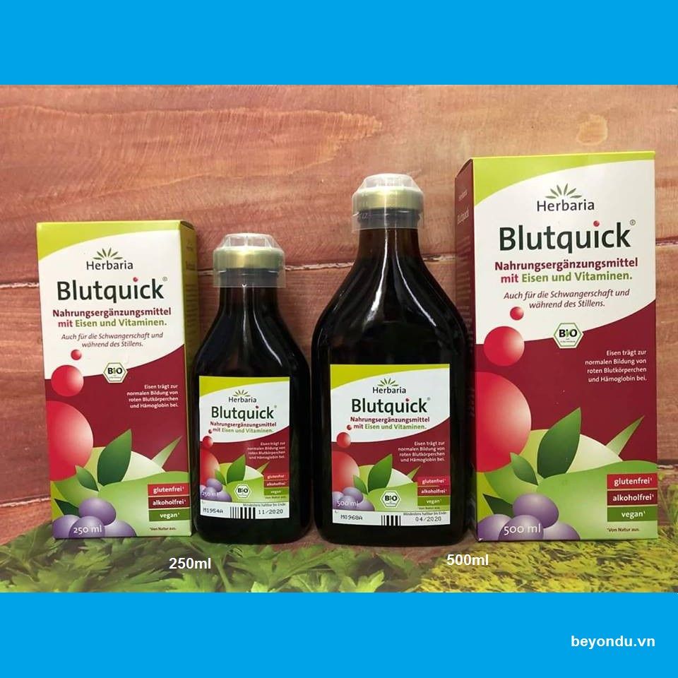 Siro bổ sung sắt và vitamin hữu cơ Blutquick Herbaria