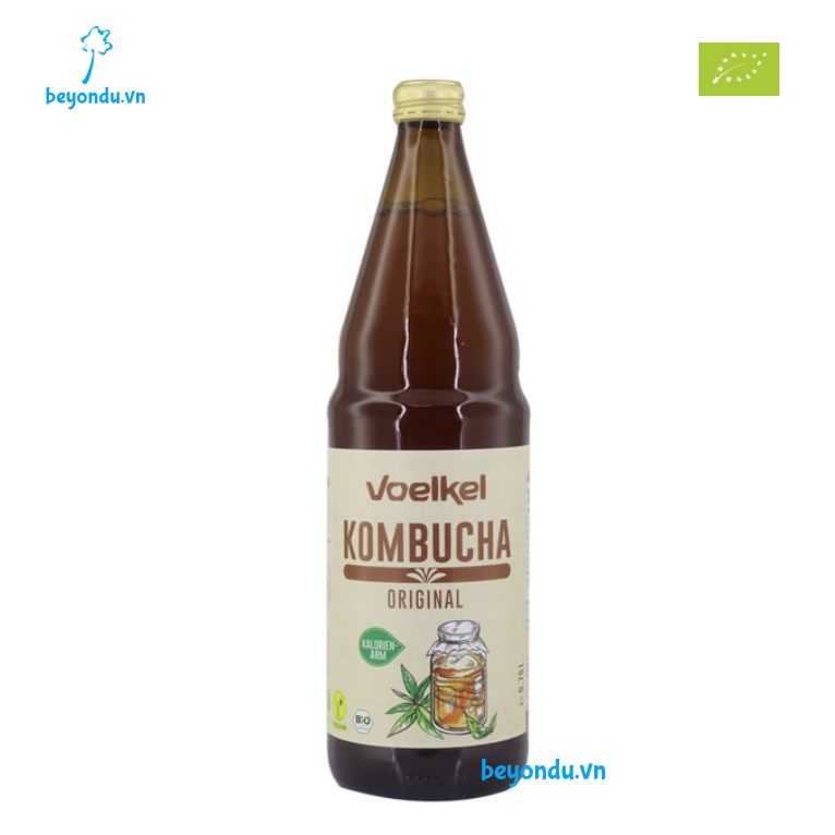 Trà kombucha hữu cơ Voelkel 750ml (Original)