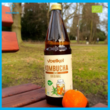  Trà kombucha hữu cơ Voelkel 750ml (Original) 