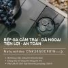 Bếp gas cắm trại IGT 3 đầu đốt Naturehike CNK2450CF019