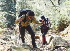 Gậy chạy Trail - leo núi Naturehike CNK2450DS012/CNK2450DS013