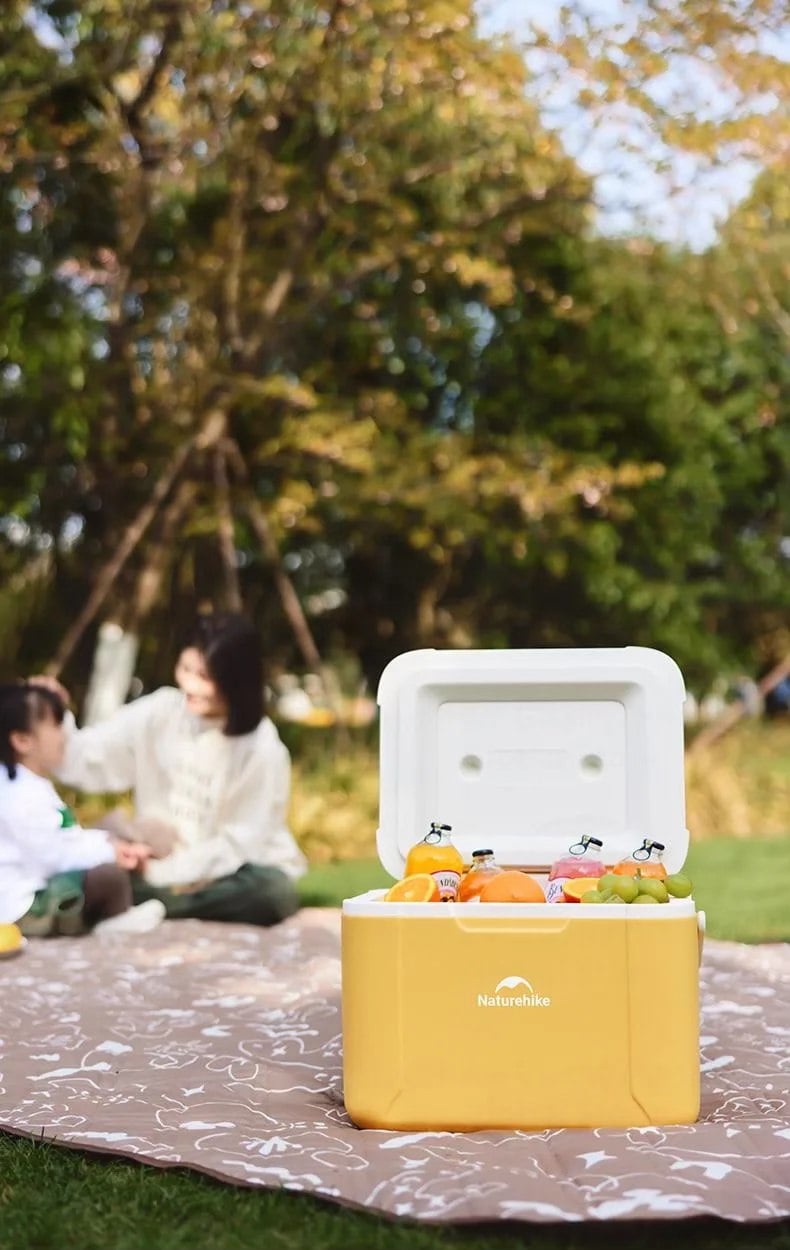 Thùng đá bảo quản thực phẩm Naturehike CNK2450CF012