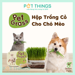 Green Pet Grass Bộ Trồng Cỏ Lúa Mạch Cho Chó Mèo