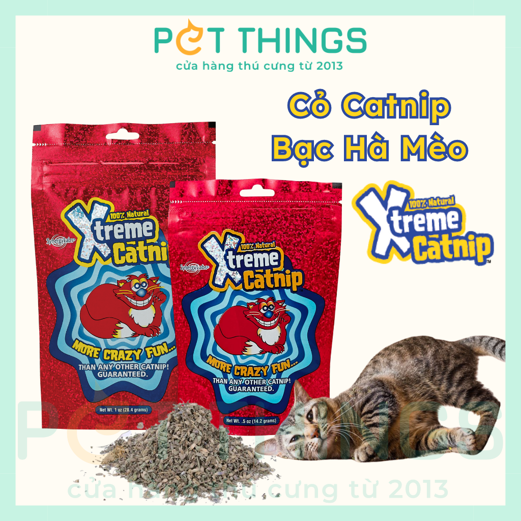 Cỏ Bạc Hà Mèo X-treme Catnip