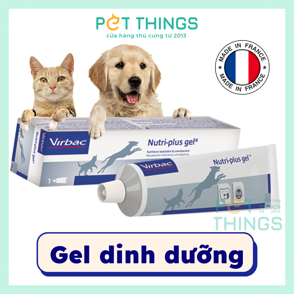 Gel dinh dưỡng Virbac Nutri Plus cung cấp năng lượng cho chó mèo