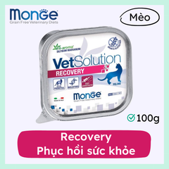 Pate Mèo Monge VetSolution Feline Recovery 100g