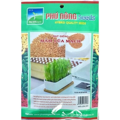 Hạt giống cỏ mèo 100g