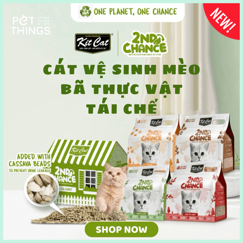 Cát vệ sinh hữu cơ Kit Cat 2ND Chance Plant-Based Cat Litter 2.5kg/7L